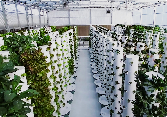 Hydroponic Farming Aeroponic Tower