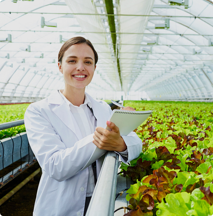 Commercial Hydroponic for sale,design,production,installation,training