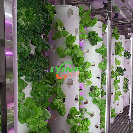 container farming01