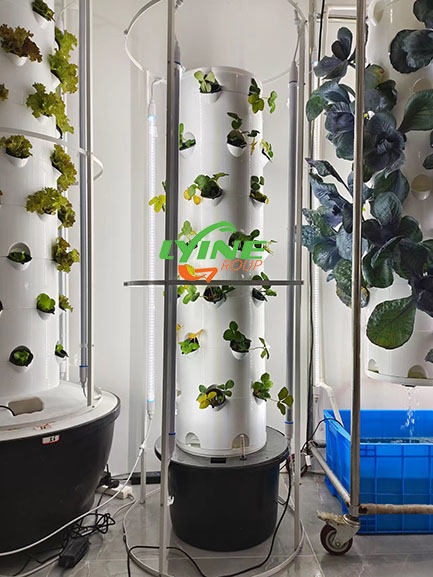  Plant in the Hydroponic Aeroponic Tower System03