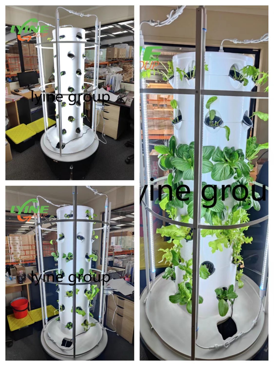 New Zealand  aeroponic tower system