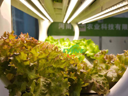 indoor hydroponic grow cabinet03
