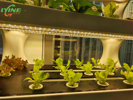 indoor hydroponic grow cabinet02