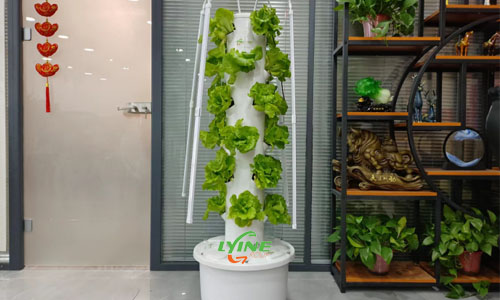 How To Grow Hydroponic Vegetables With Home Vertical Farming Kit?
