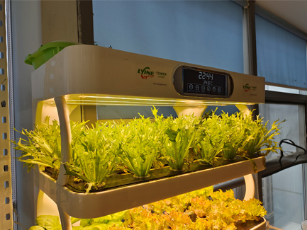 Indoor Hydroponic Grow Cabinet