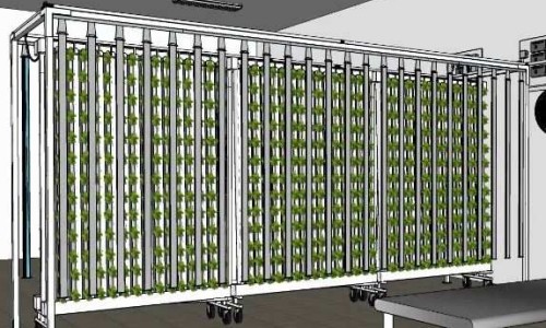 The NFT Hydroponic System