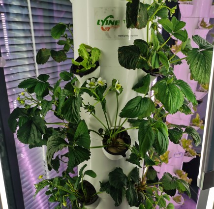 Hydroponic Tower System