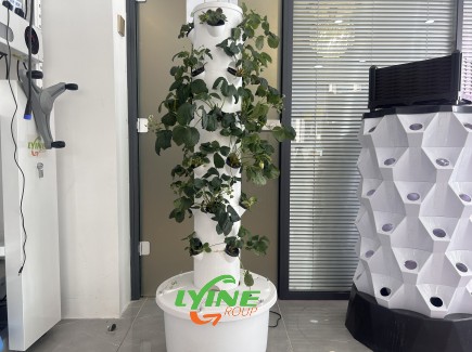 Hydroponic System