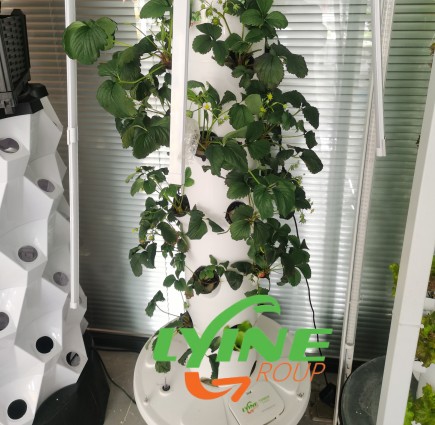 Hydroponic Tower System