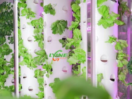 Hydroponic Tower system container