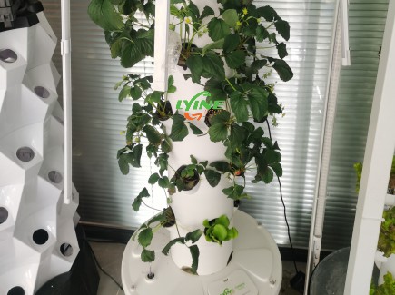 Hydroponic tower System