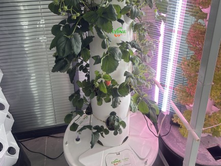 Hydroponic System