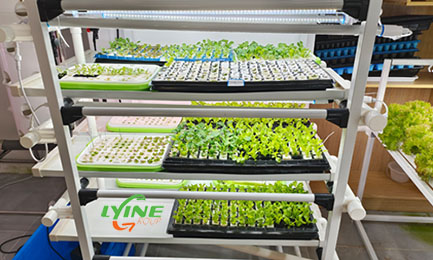 3 layers - 1 meter microgreen system