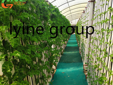 UAE Hydroponics Zip System