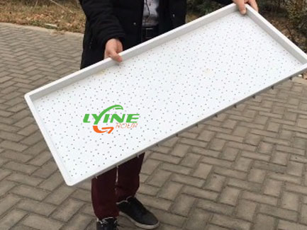 Kenya Hydroponic Tray