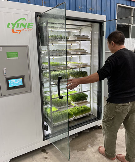 Hydroponic fodder container with a daily output of 50 kg