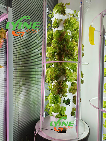 Aeroponic Tower System