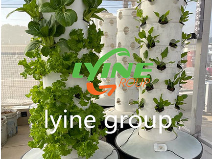 Canadian Aeroponic Tower System