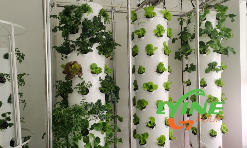 Hydroponic Tower System