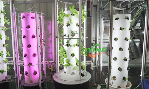 Aeroponic tower system