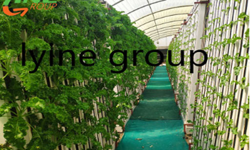 What are the Vertical Farming Hydroponic Systems that Can Be Used at Home?