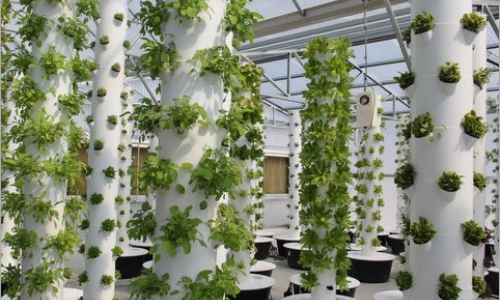 Hydroponic Tower System