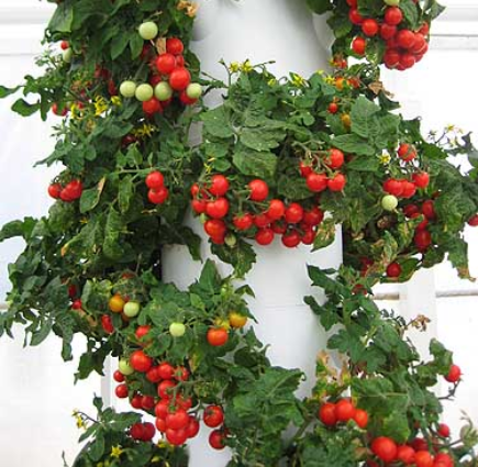 Hydroponic Tower System