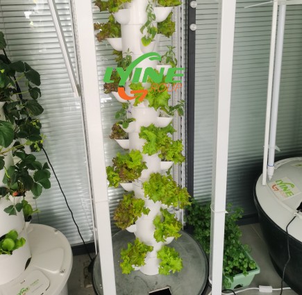 Hydroponic System