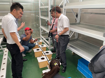 Philippine Customer Came to Our Company to Inspect Hydroponic Equipment and Greenhouse Project04
