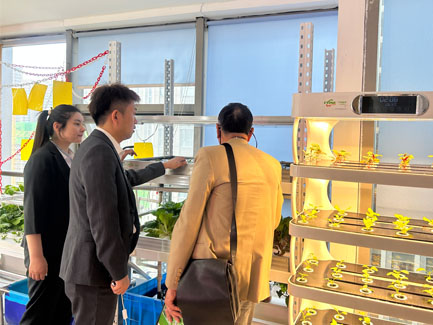 Philippine Customer Came to Our Company to Inspect Hydroponic Equipment and Greenhouse Project01