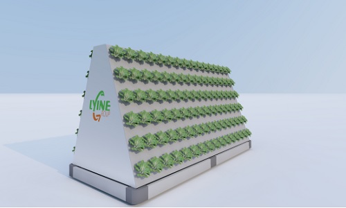  Hydroponic Growing System At The Dubai Agricultural Exhibition