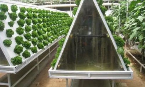  the aeroponic system