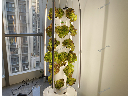 Aeroponic Tower System