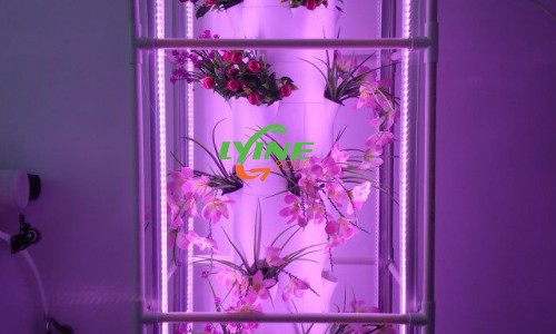  the aeroponic tower