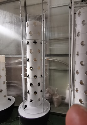 aeroponic tower