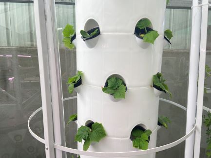 Georgia Aeroponic Tower System