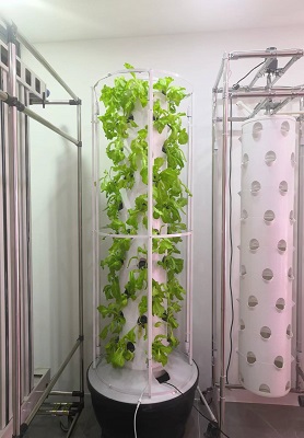 Mongolian Aeroponic Tower System