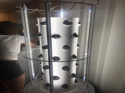 Mauritius Hydroponic Column System