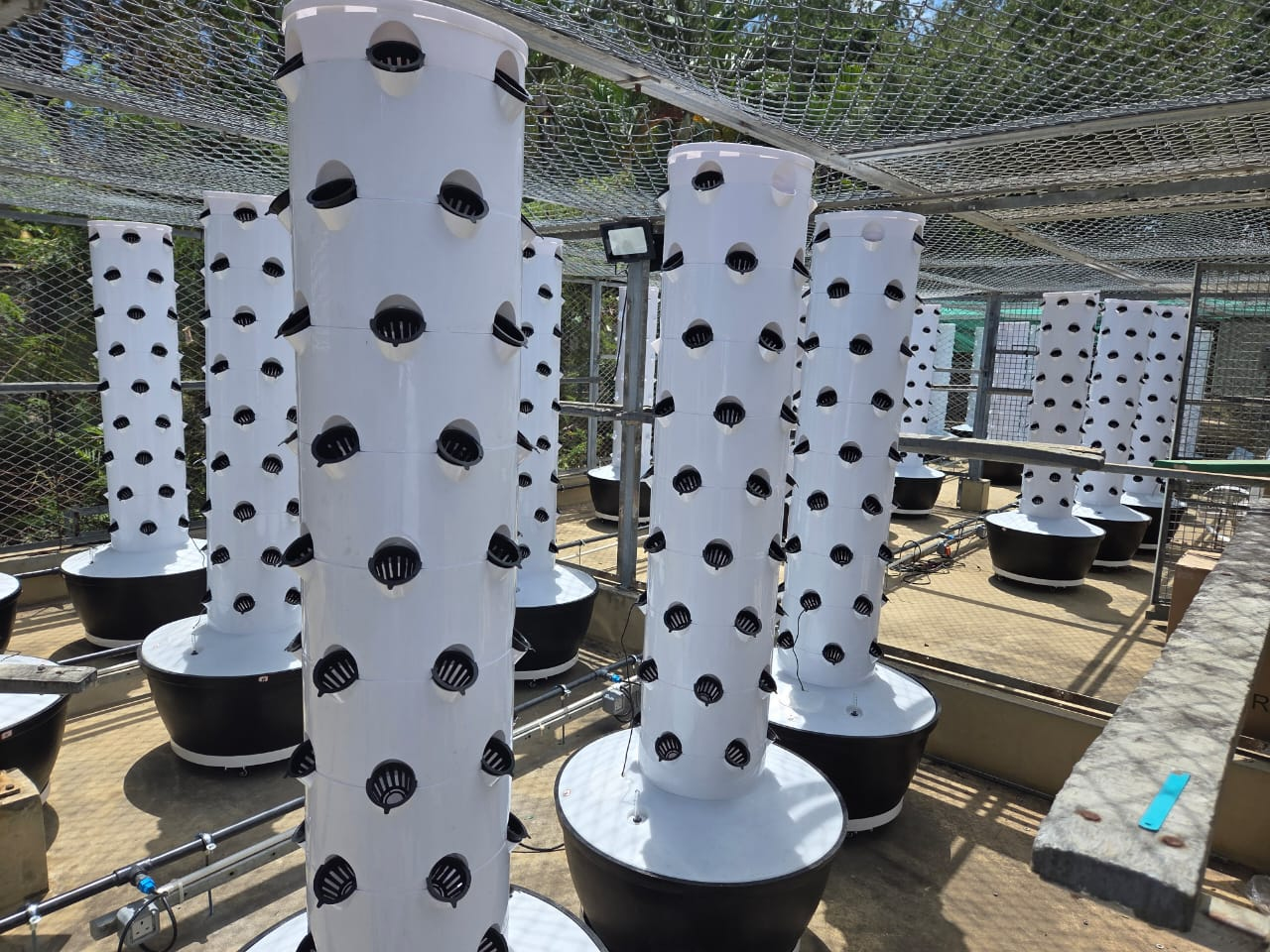 6P10 vertical hydroponic towers used for small commercial hydroponic farm project in France