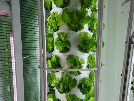 Aeroponic Tower System