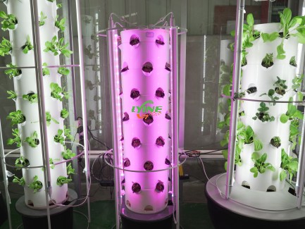 Hydroponic Tower System