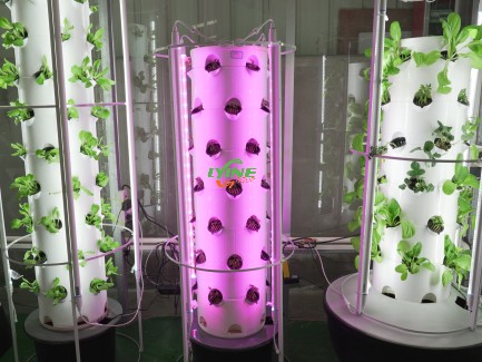 Hydroponic Tower System