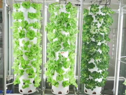 Hydroponic Tower System