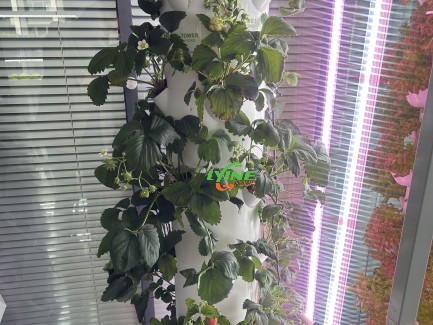 Hydroponic Tower System