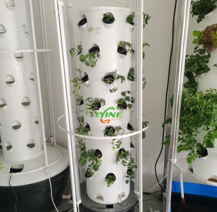 Hydroponic tower System