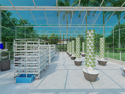 Greenhouse Hydroponic Projects