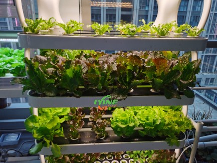  Indoor Hydroponic Grow Cabinet