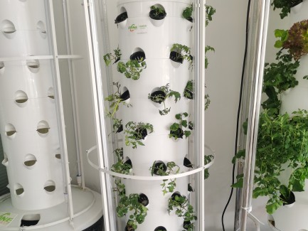 Hydroponic Tower System