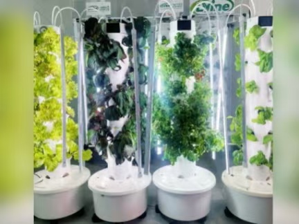 Indoor Home Hydroponic Tower Project with 4P6 Touch System in Vancouver Canada