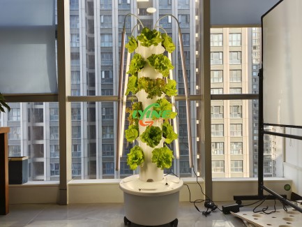 the aeroponic system